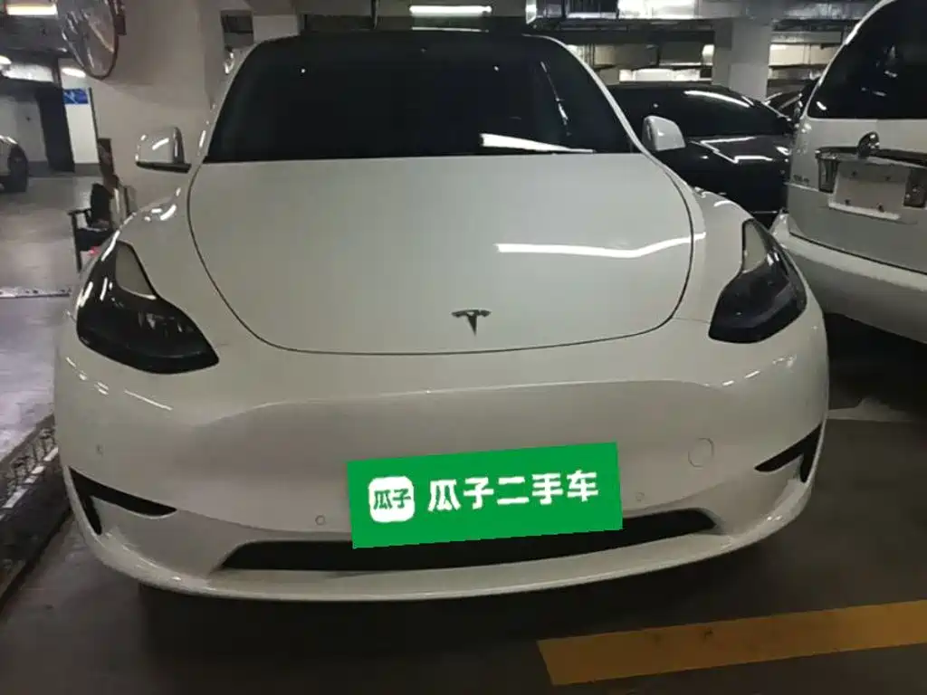 Tesla Model Y — миниатюра 3