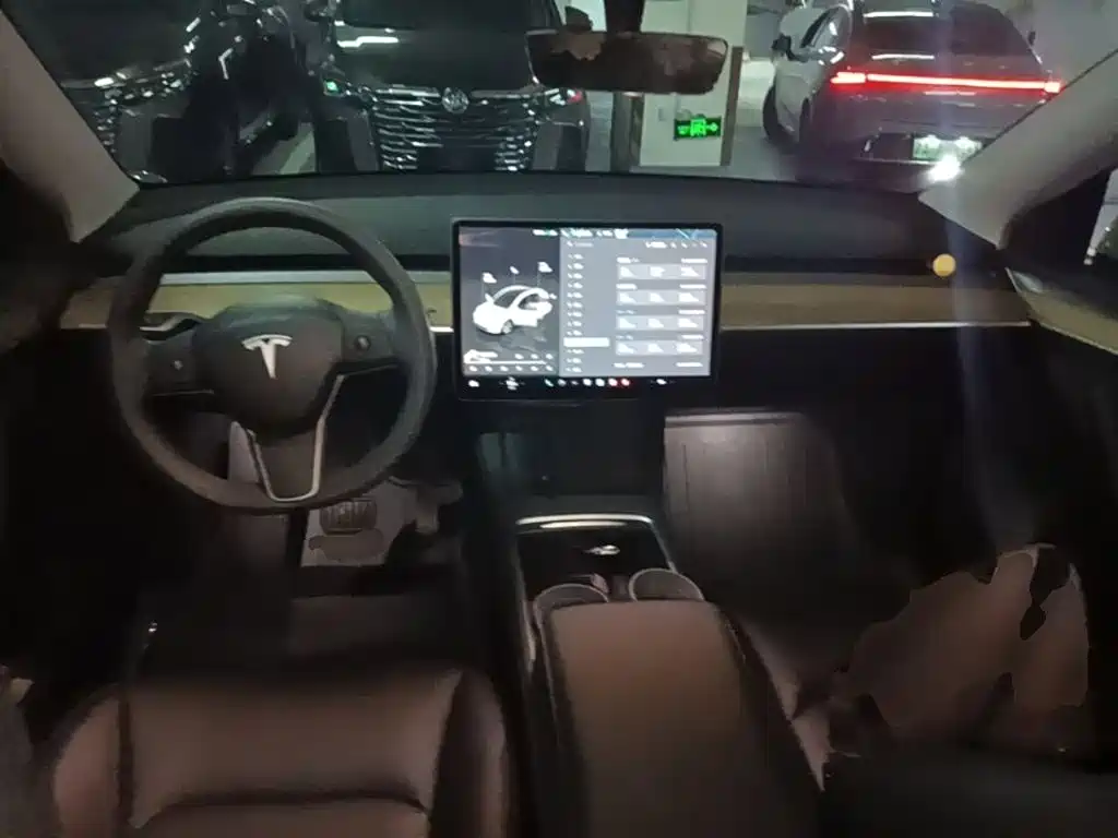 Tesla Model Y — миниатюра 10