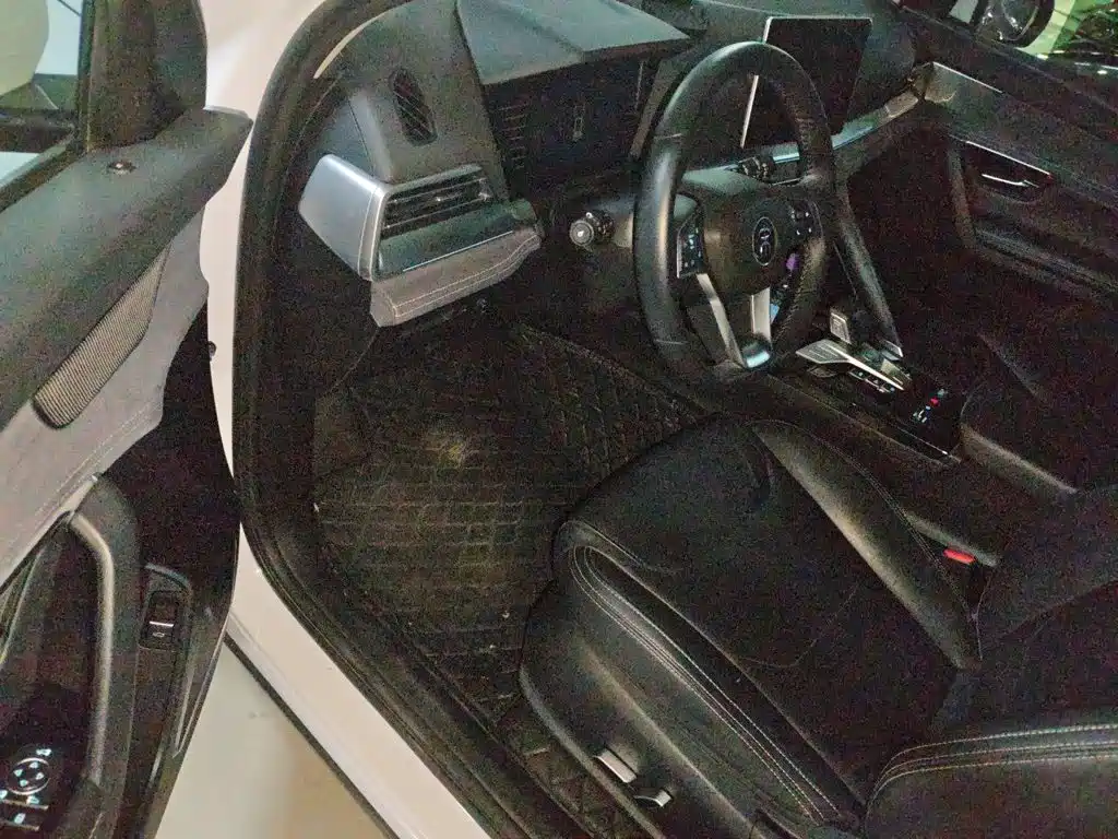 BYD Pro New Energy — миниатюра 17