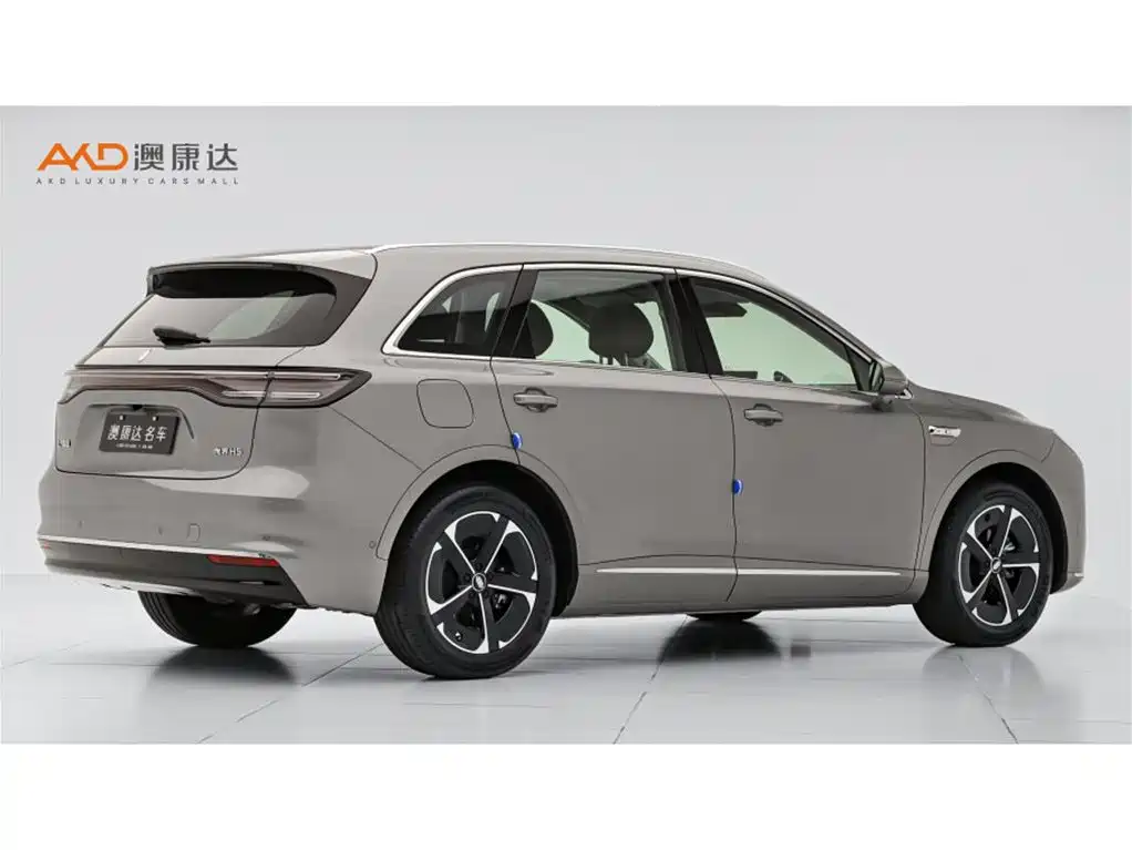 Shangjie H5 2025 Pro