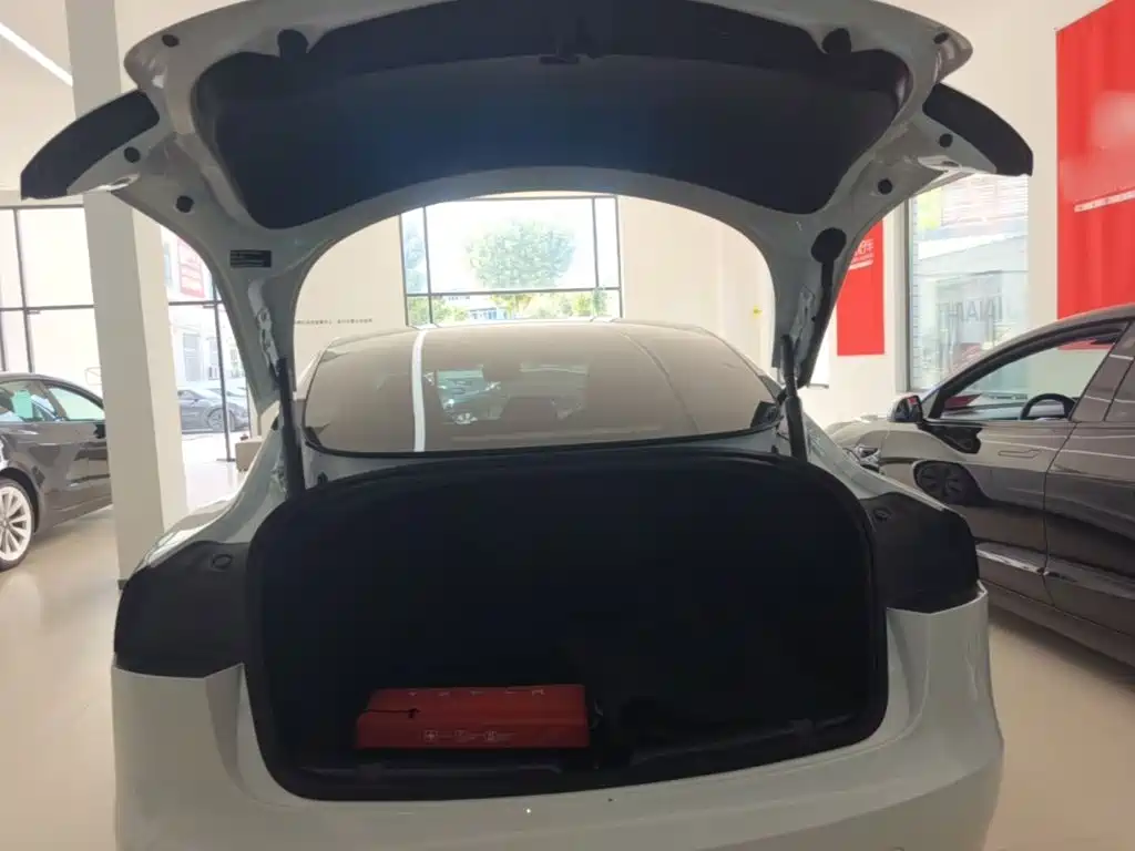 Tesla Model 3 — миниатюра 19