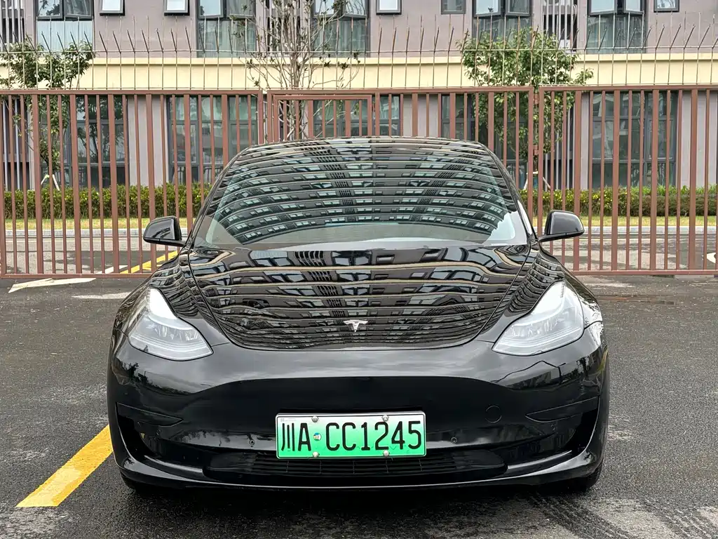 Tesla Model 3 — миниатюра 11