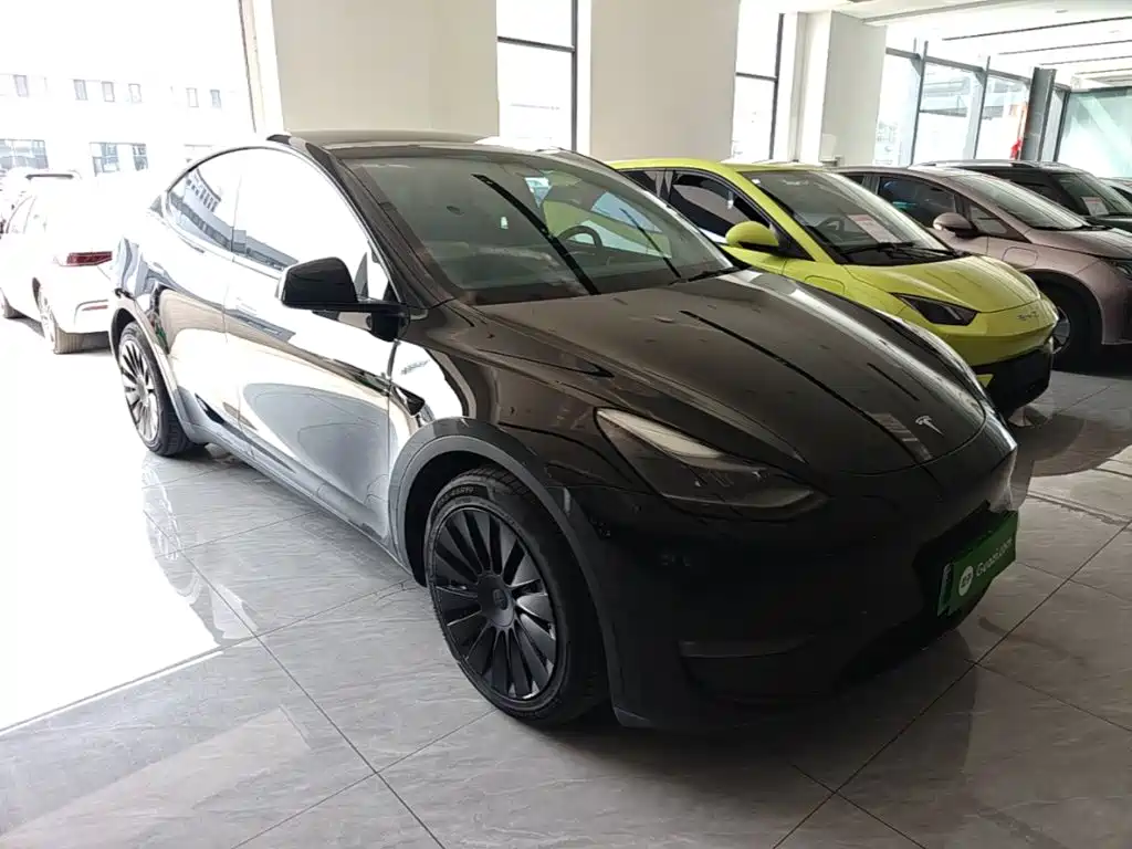 Tesla Model Y — миниатюра 4