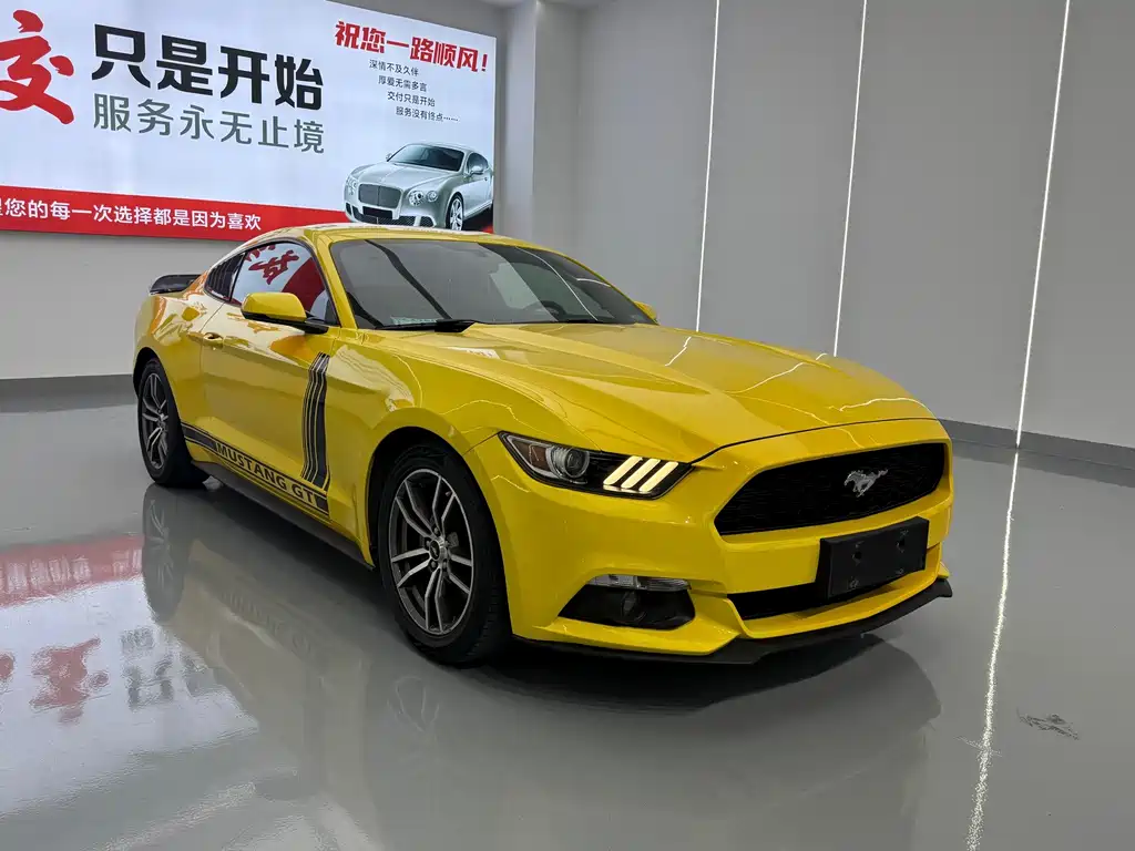 Ford Mustang — миниатюра 3