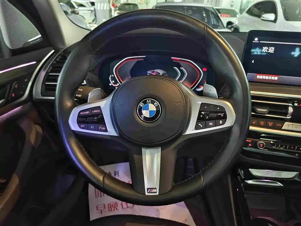 BMW X3 — миниатюра 6