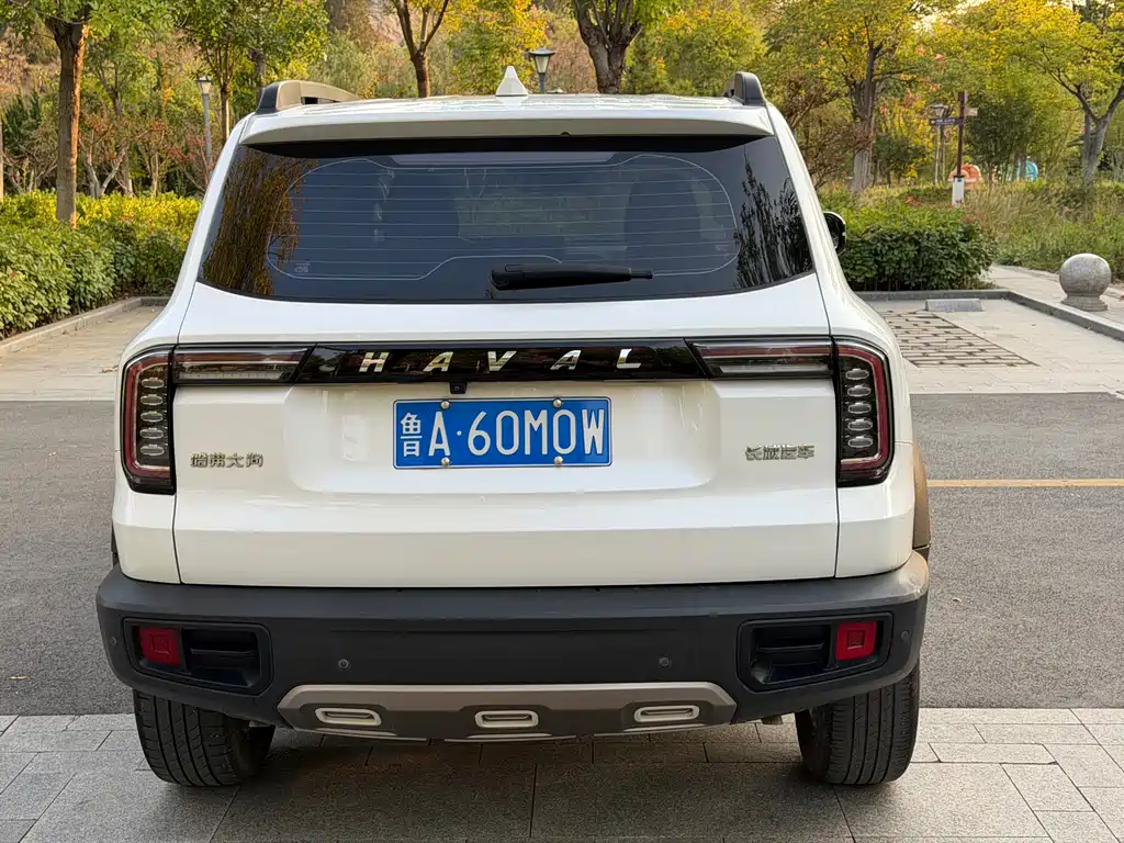 Haval Big Dog — миниатюра 4