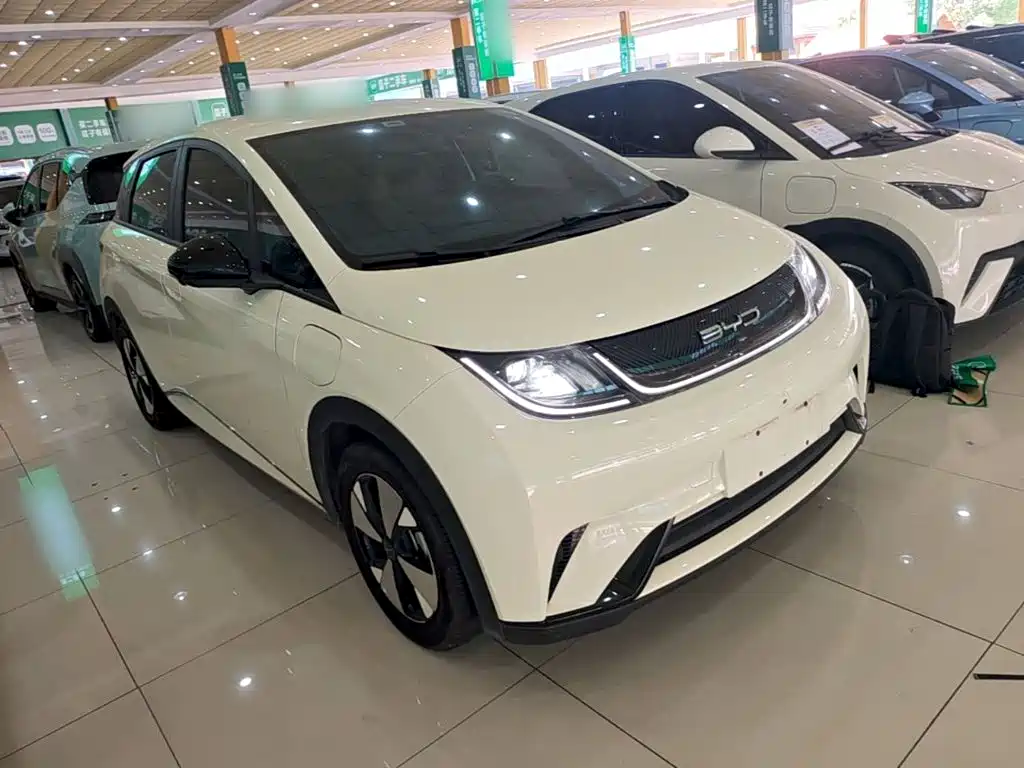 BYD Dolphin — миниатюра 4