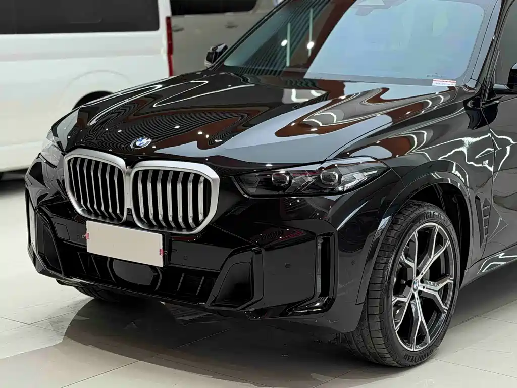 BMW X5 — миниатюра 4