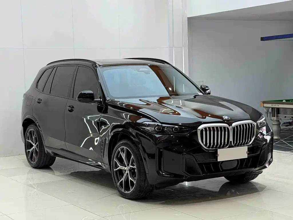 BMW X5 — миниатюра 3