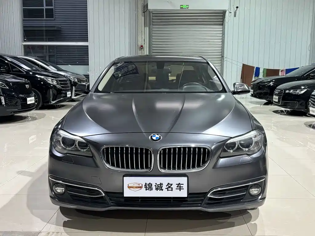 BMW 5 Series — миниатюра 2