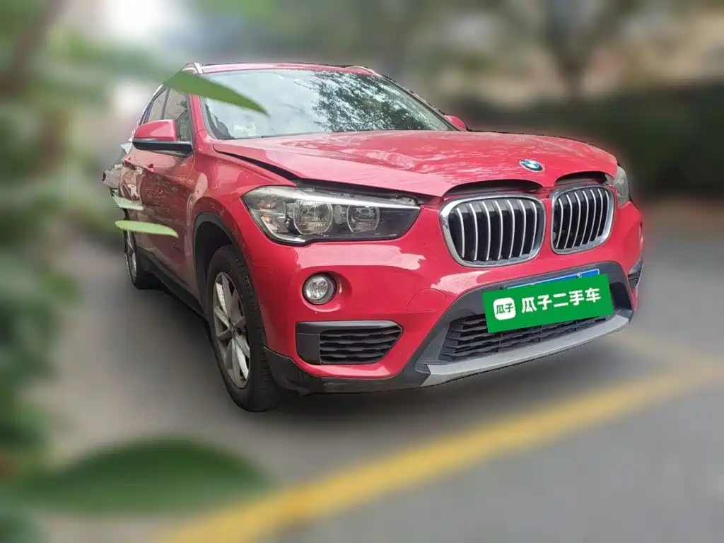 BMW X1 — миниатюра 24
