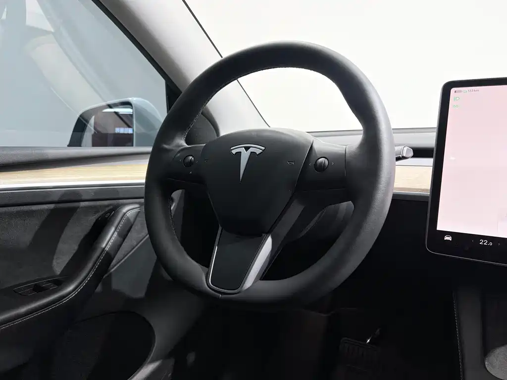 Tesla Model Y — миниатюра 12