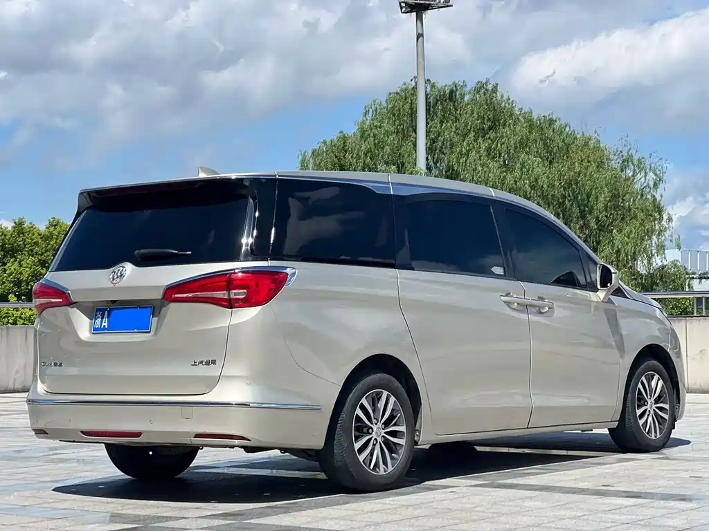 Buick GL8 — миниатюра 6