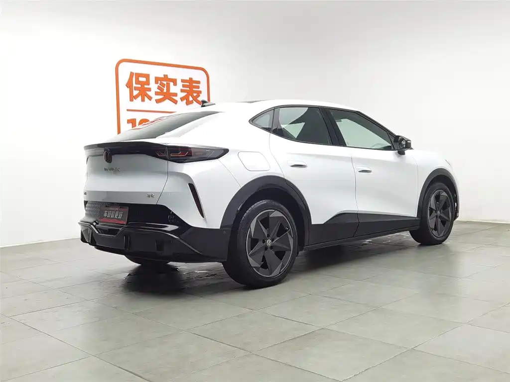 VOLKSWAGEN WITH THE CROWD 06