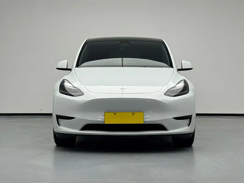 Tesla Model Y — миниатюра 2