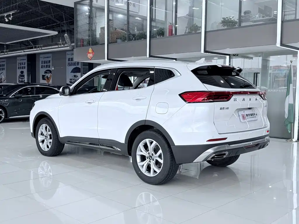 Haval H6 — миниатюра 13