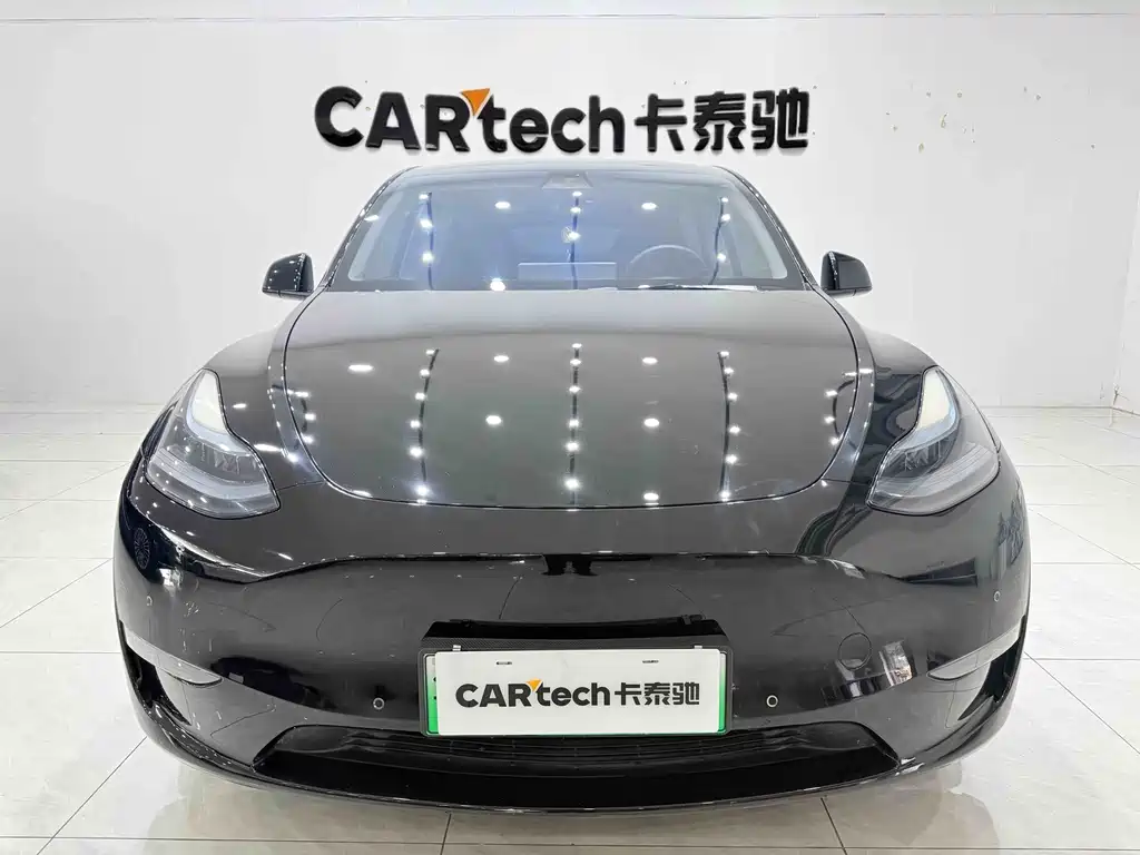 Tesla Model Y — миниатюра 2