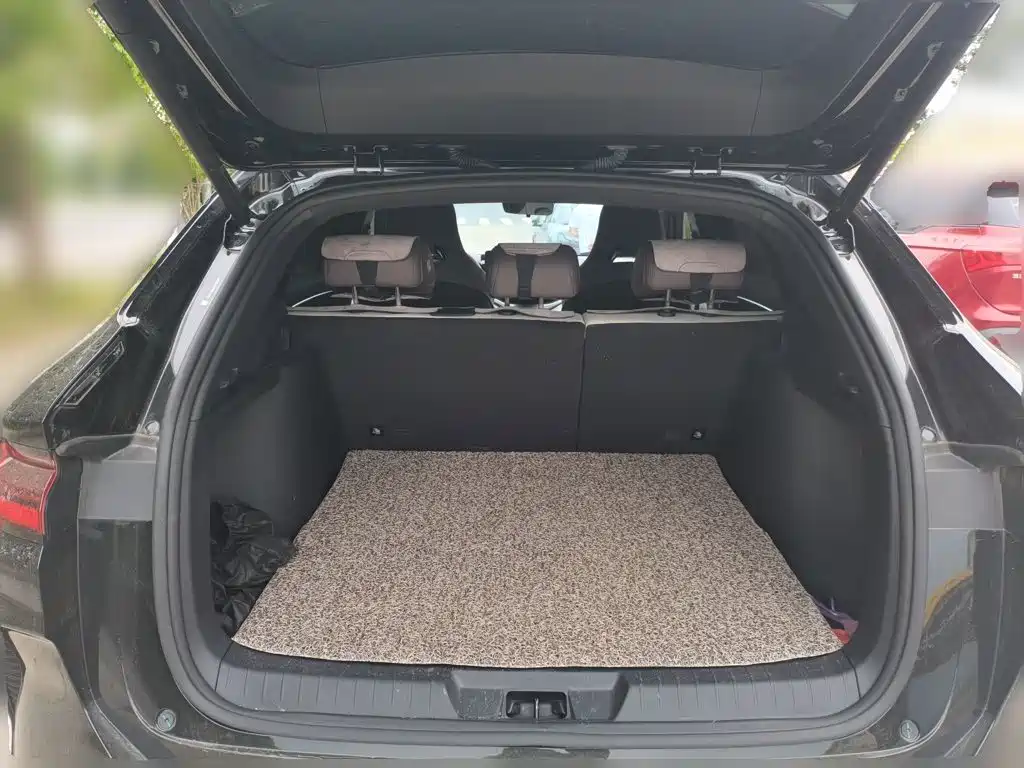 BYD PLUS New Energy — миниатюра 16