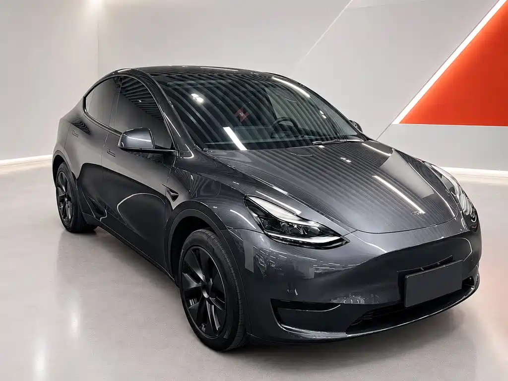 Tesla Model Y — миниатюра 3