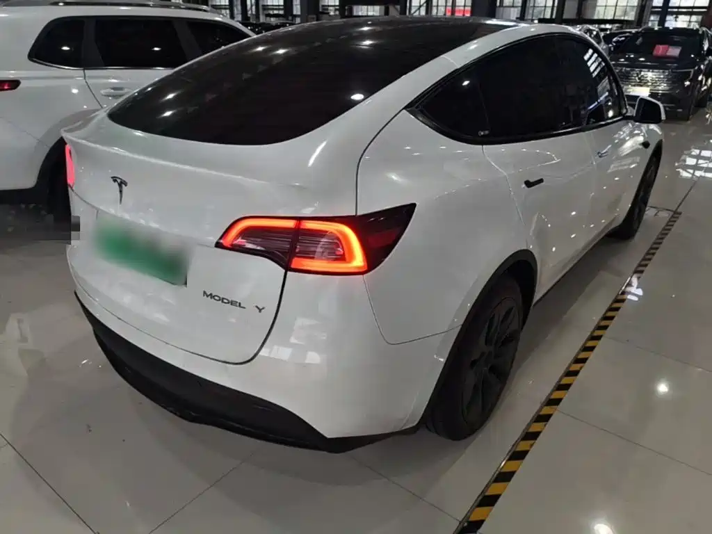 Tesla Model Y — миниатюра 5