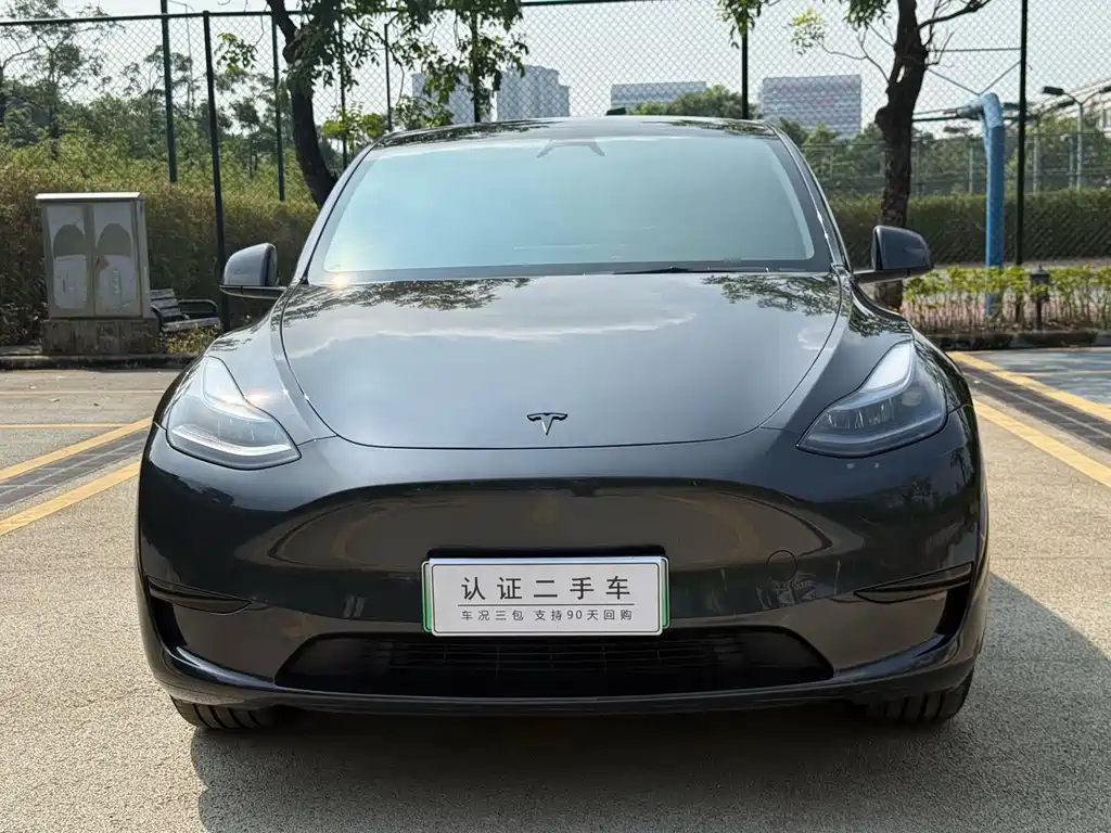 Tesla Model Y — миниатюра 2