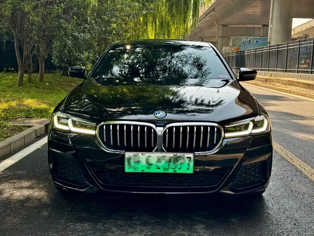 BMW 5 Series New Energy — миниатюра 2