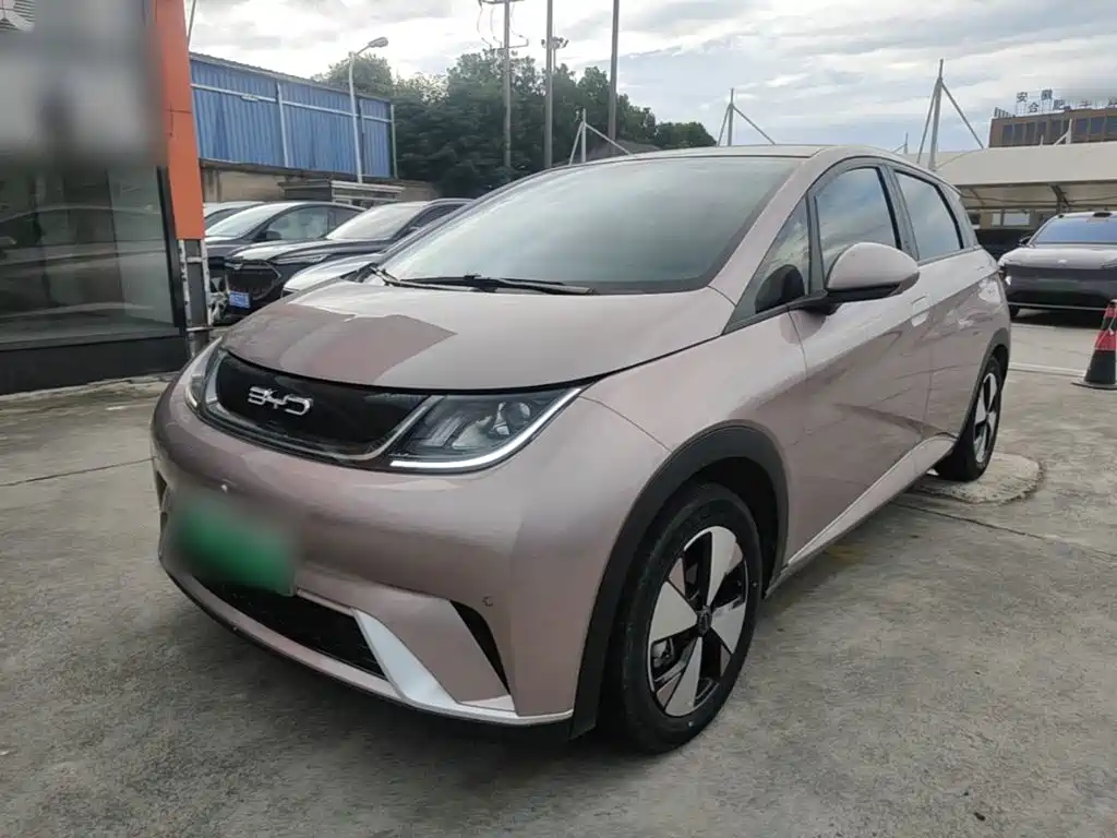 BYD Dolphin — миниатюра 2