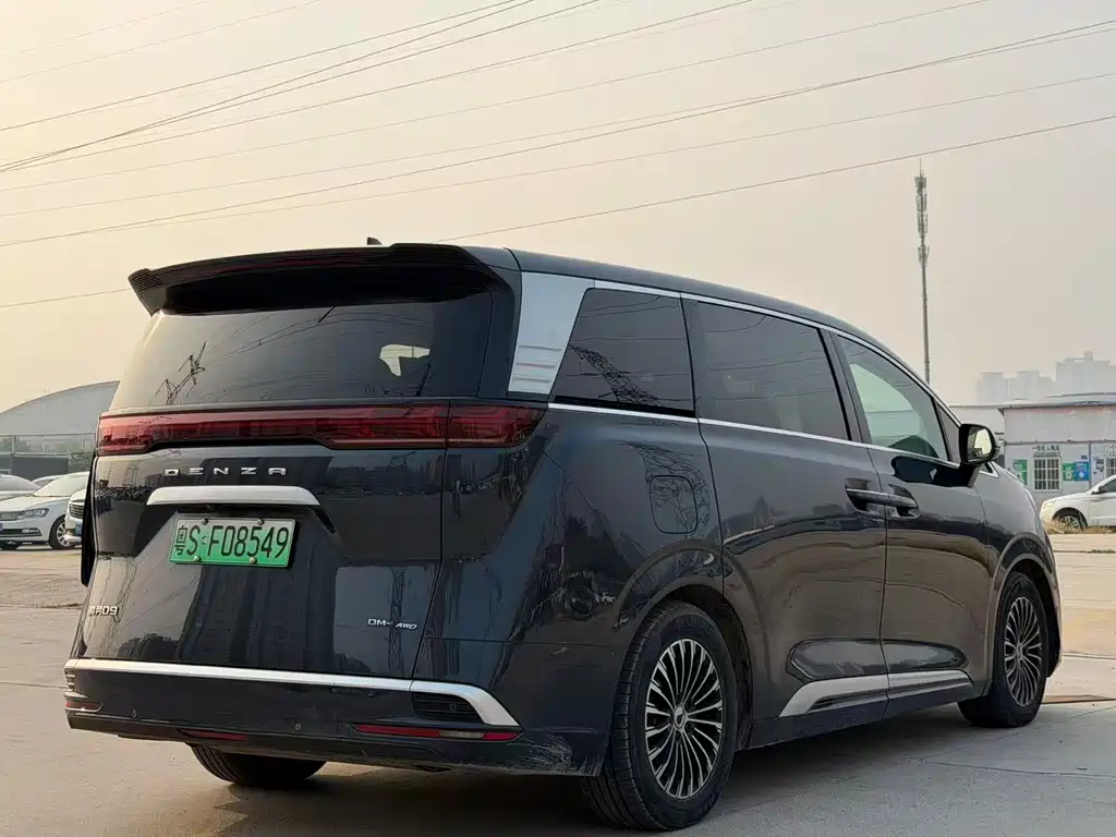 Denza Denza D9 — миниатюра 7