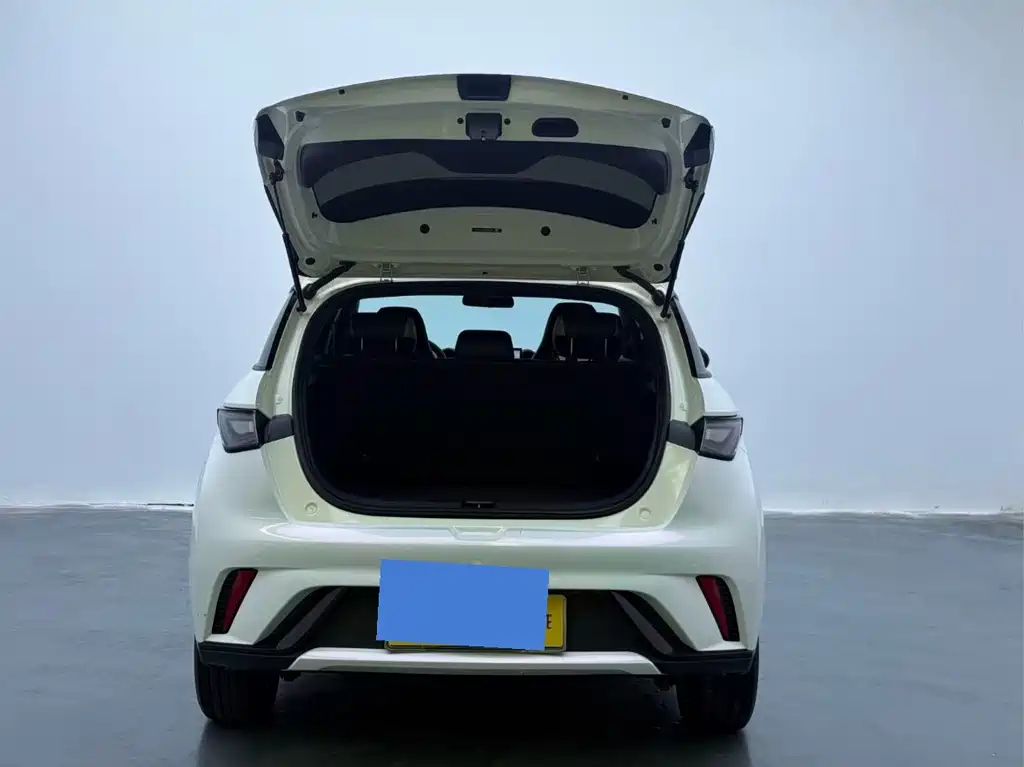 BYD Dolphin — миниатюра 13
