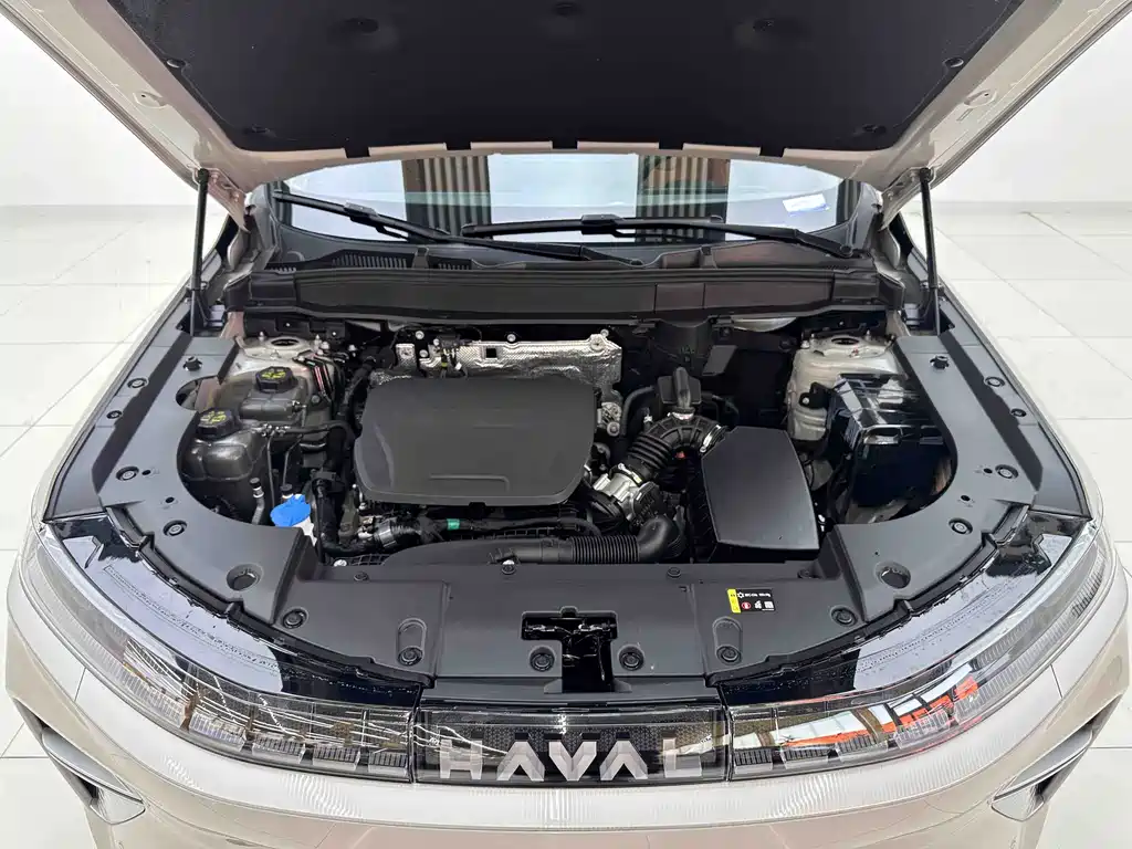 Haval Xiaolong MAX — миниатюра 8