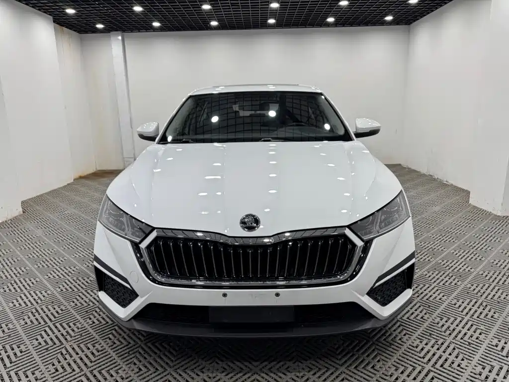 Skoda Octavia — миниатюра 2