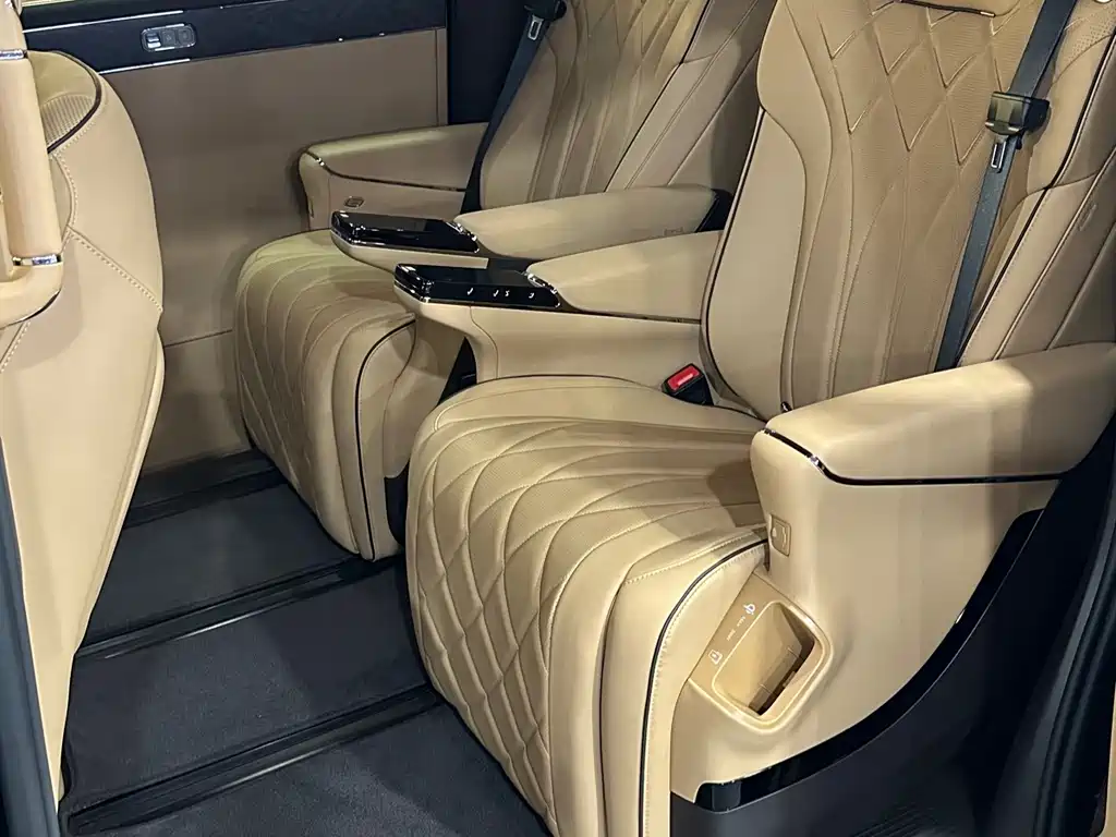 Denza Denza D9 — миниатюра 5
