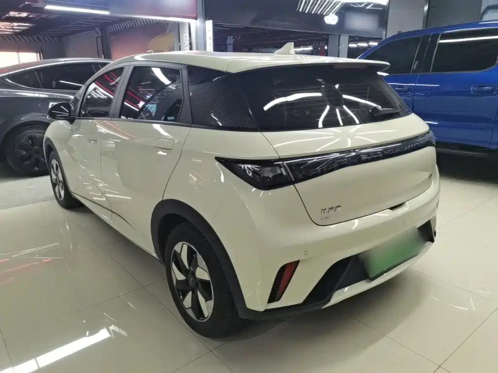 BYD Dolphin — миниатюра 5