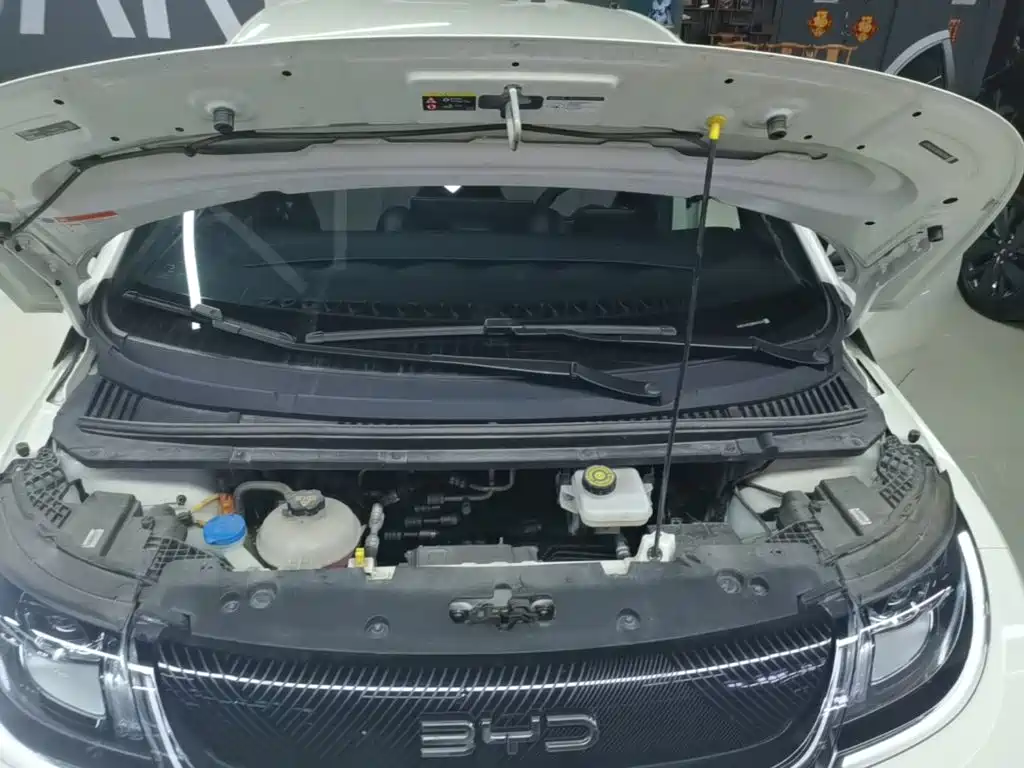 BYD Dolphin — миниатюра 20