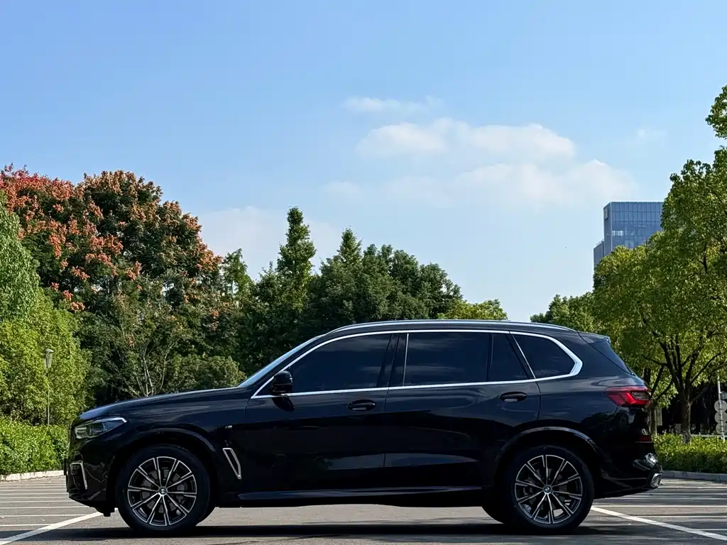 BMW X5 — миниатюра 3