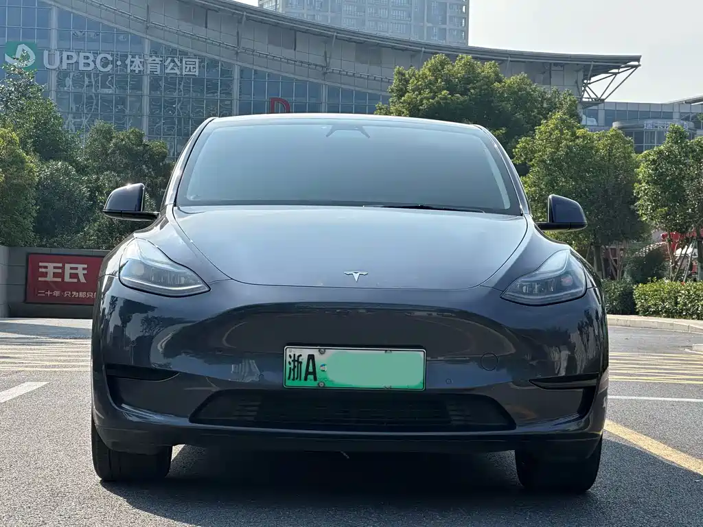 Tesla Model Y — миниатюра 2
