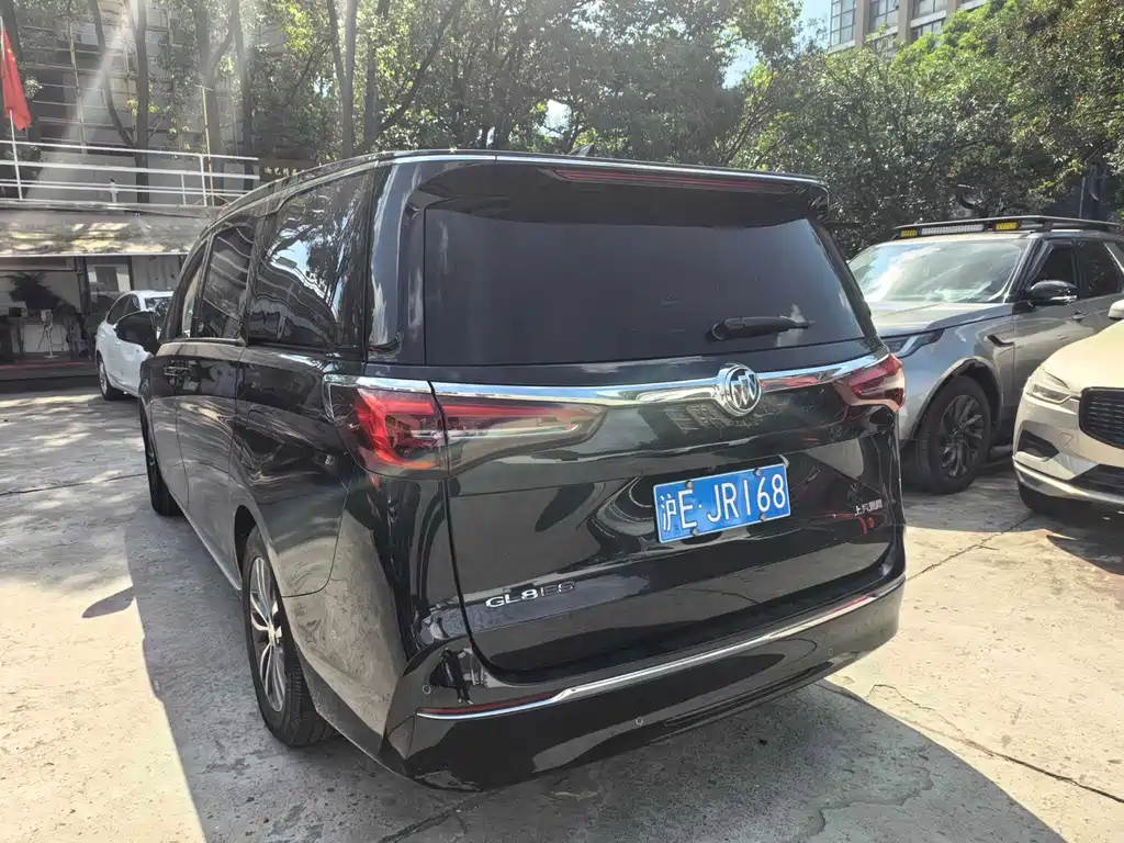 Buick GL8 — миниатюра 5