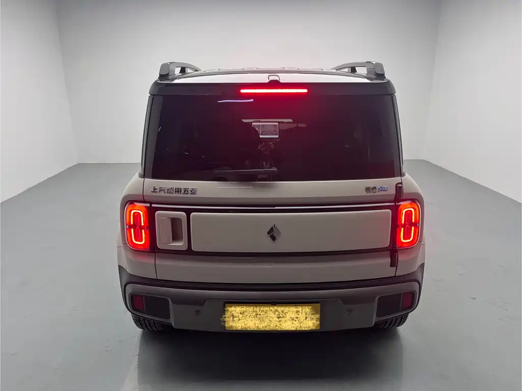 BAOJUN YUE ALSO PLUS