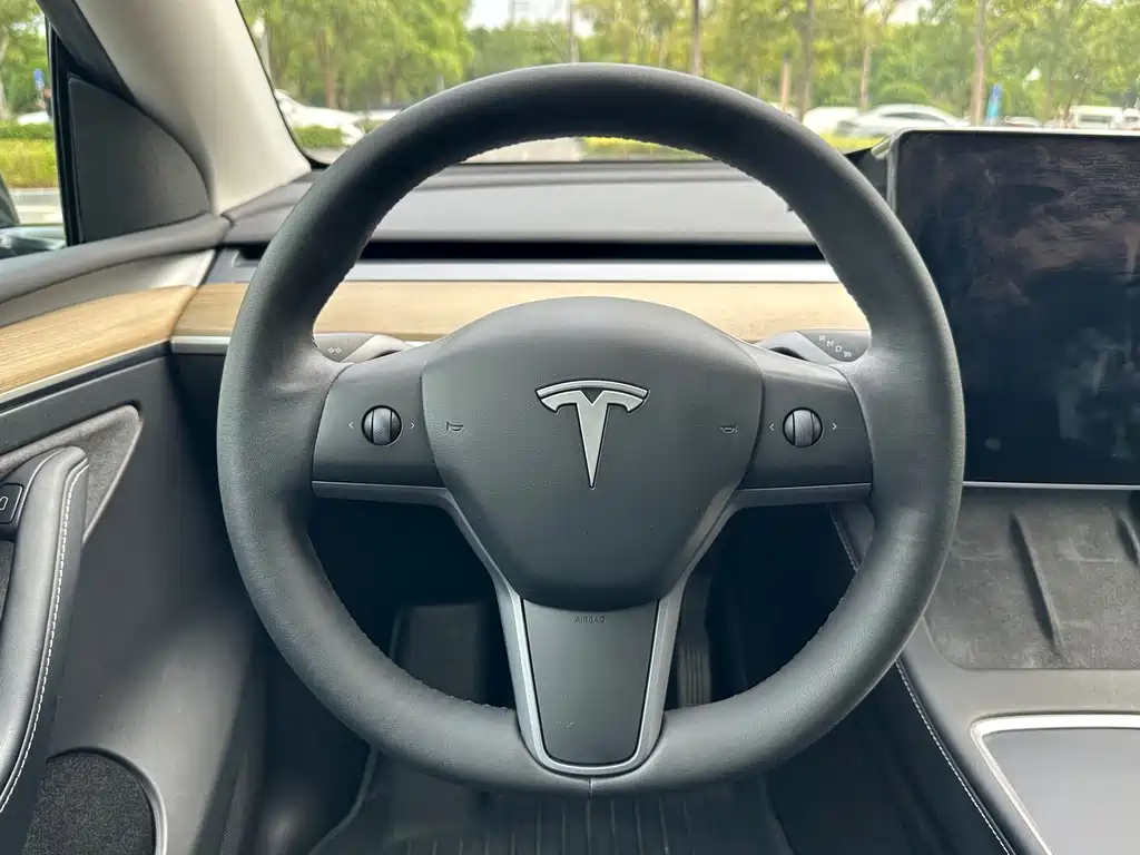 Tesla Model Y — миниатюра 16