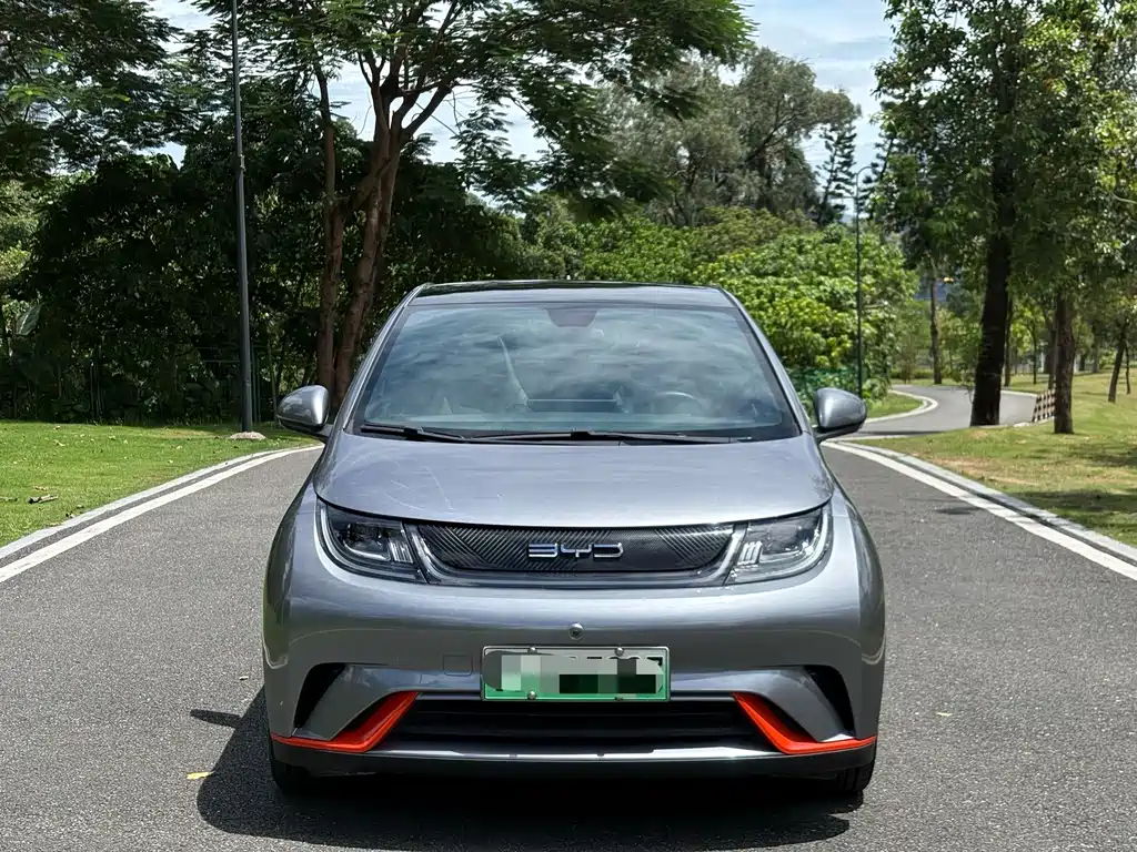 BYD Dolphin — миниатюра 2
