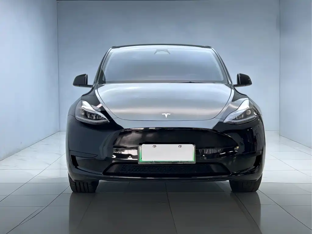 Tesla Model Y — миниатюра 2