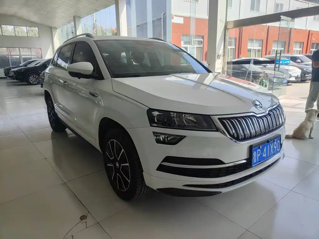 Skoda Karoq — миниатюра 3