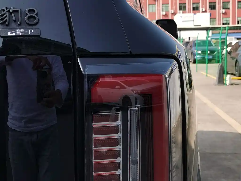 FANG CHENG BAO LEOPARD 8