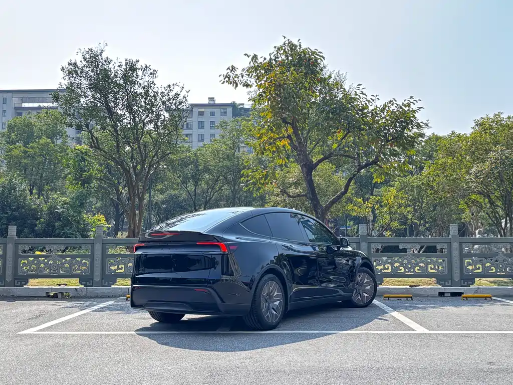 Tesla Model Y L — миниатюра 4