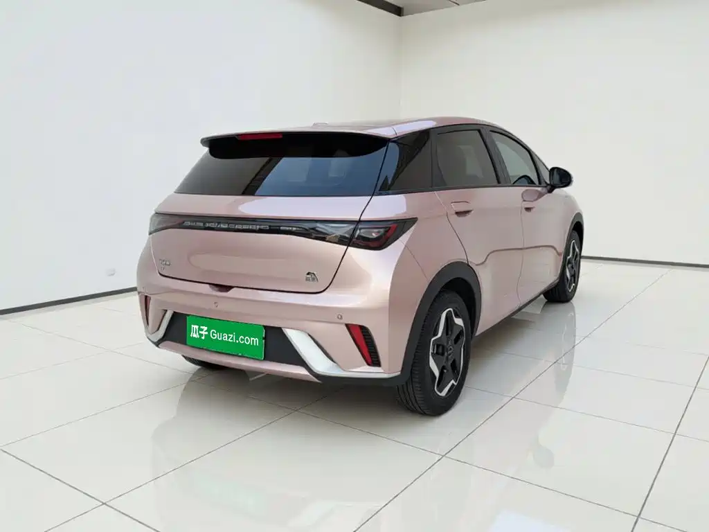 BYD Dolphin — миниатюра 4
