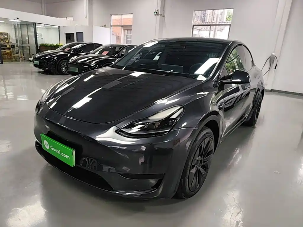 Tesla Model Y — миниатюра 2