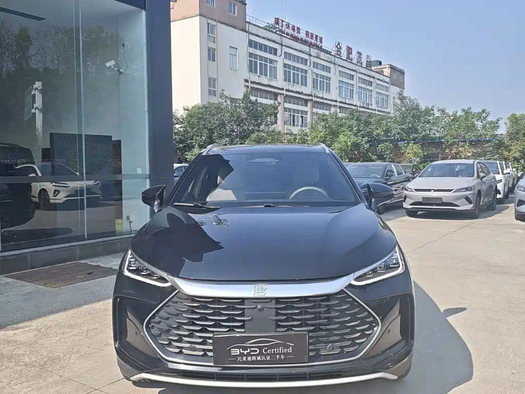 BYD Tang New Energy — миниатюра 2