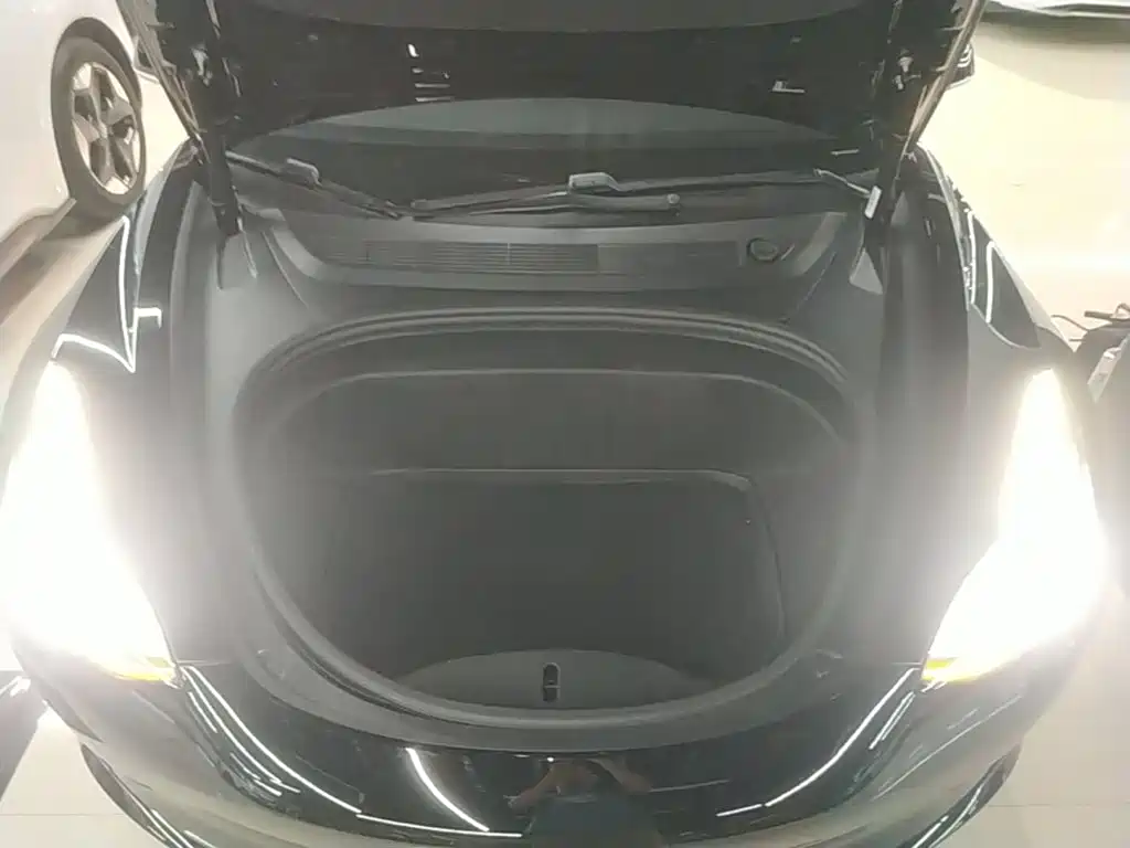 Tesla Model 3 — миниатюра 20