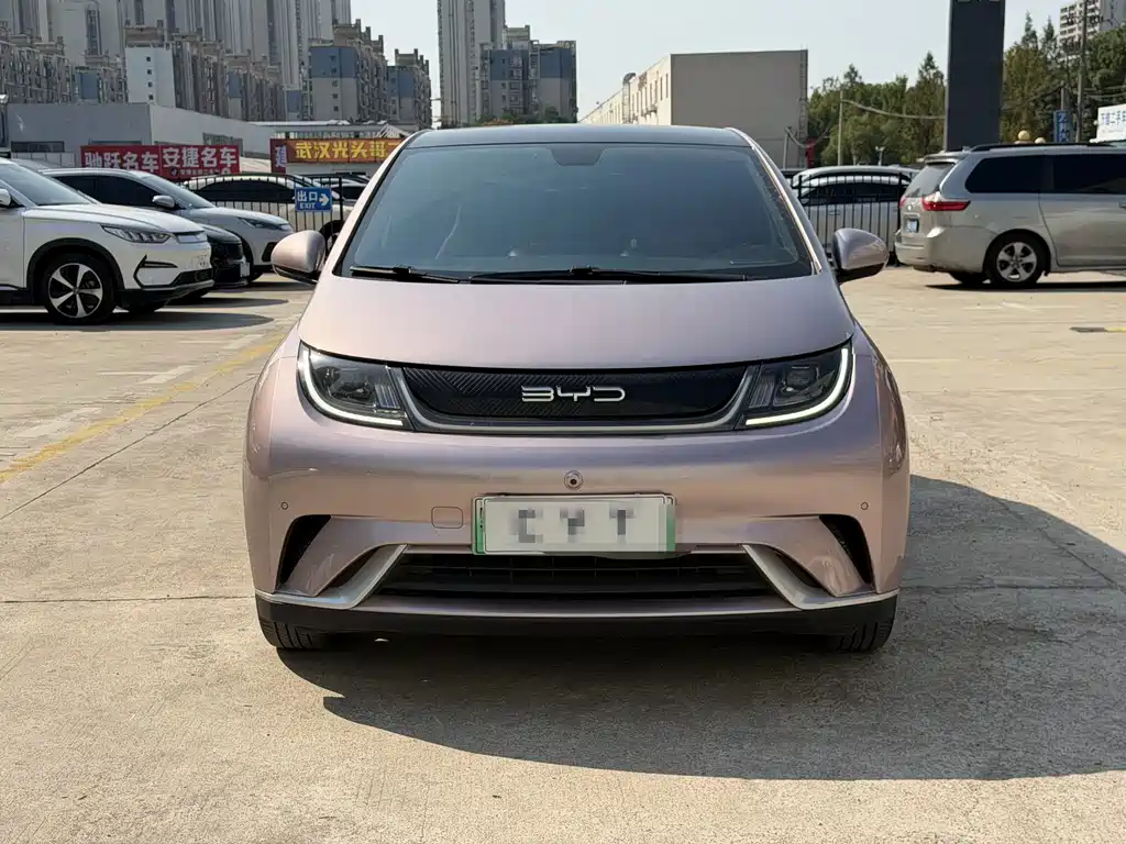 BYD Dolphin — миниатюра 2