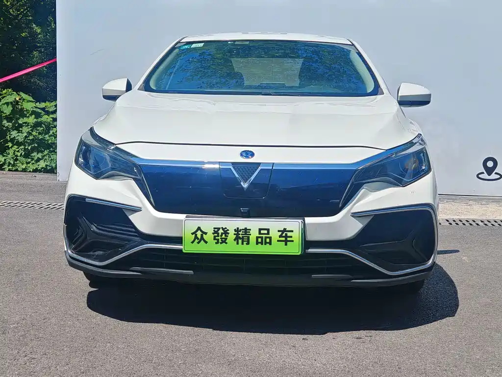 Venucia D60 EV — миниатюра 2